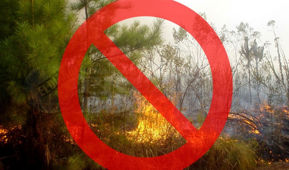 En Misiones prohibieron todo tipo de quemas