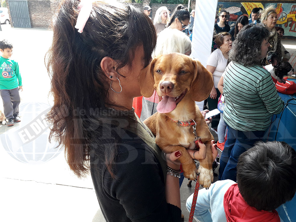 San Roque: las mascotas recibieron la bendición