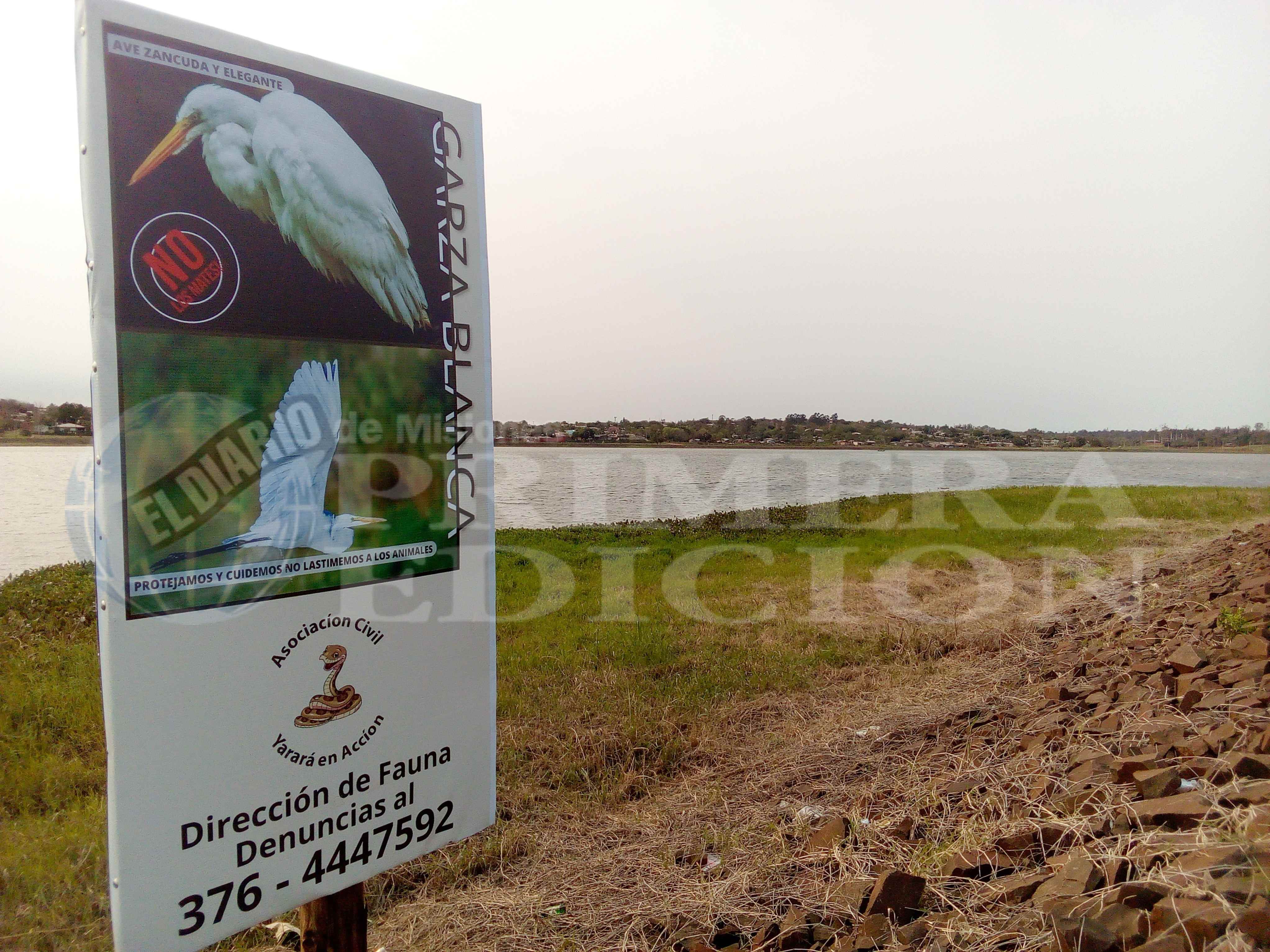 Toma de conciencia a cargo de Yarará en Acción