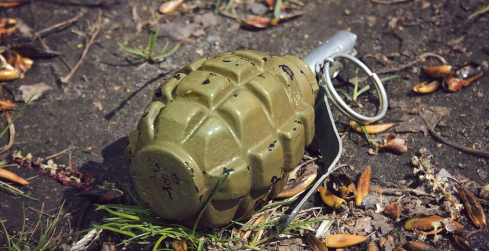 Niño sueco siembra pánico con una granada en un jardín de infantes