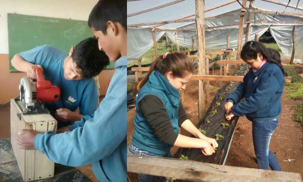 Escuelas misioneras se preparan para las olimpiadas agrotécnicas