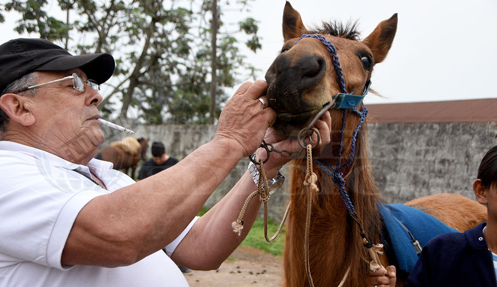 Tercer control de equinos para acarreo arrojó nuevos inscriptos