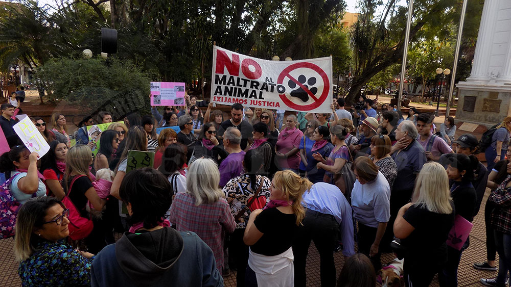 Maltrato animal: en Posadas pidieron justicia en la plaza 9 de julio