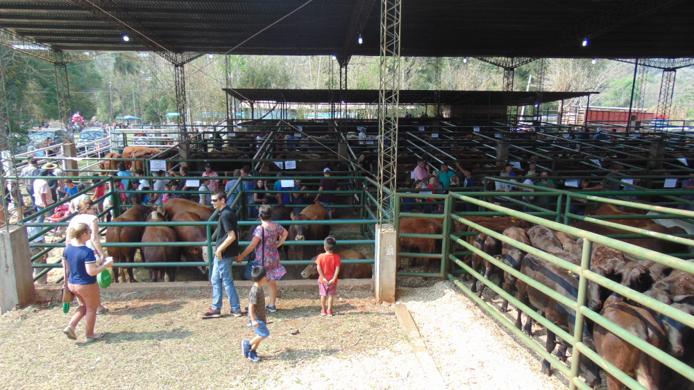 Una multitud celebró la Fiesta Provincial del Agricultor en Andresito