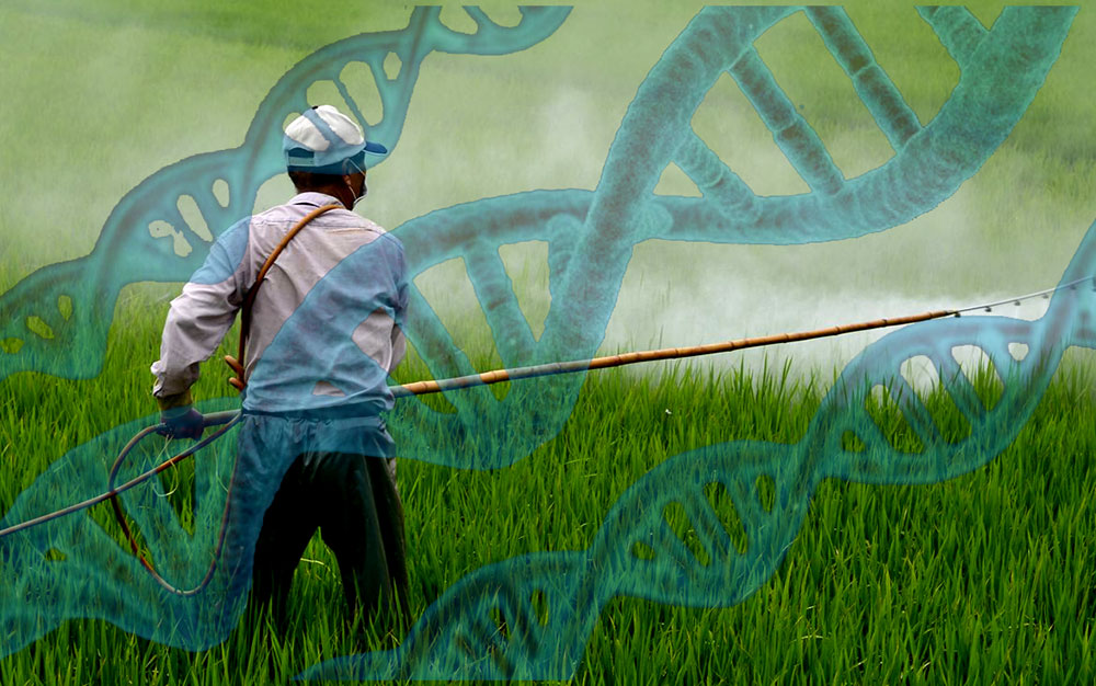 Confirman indicios de daño genético por exposición a agroquímicos