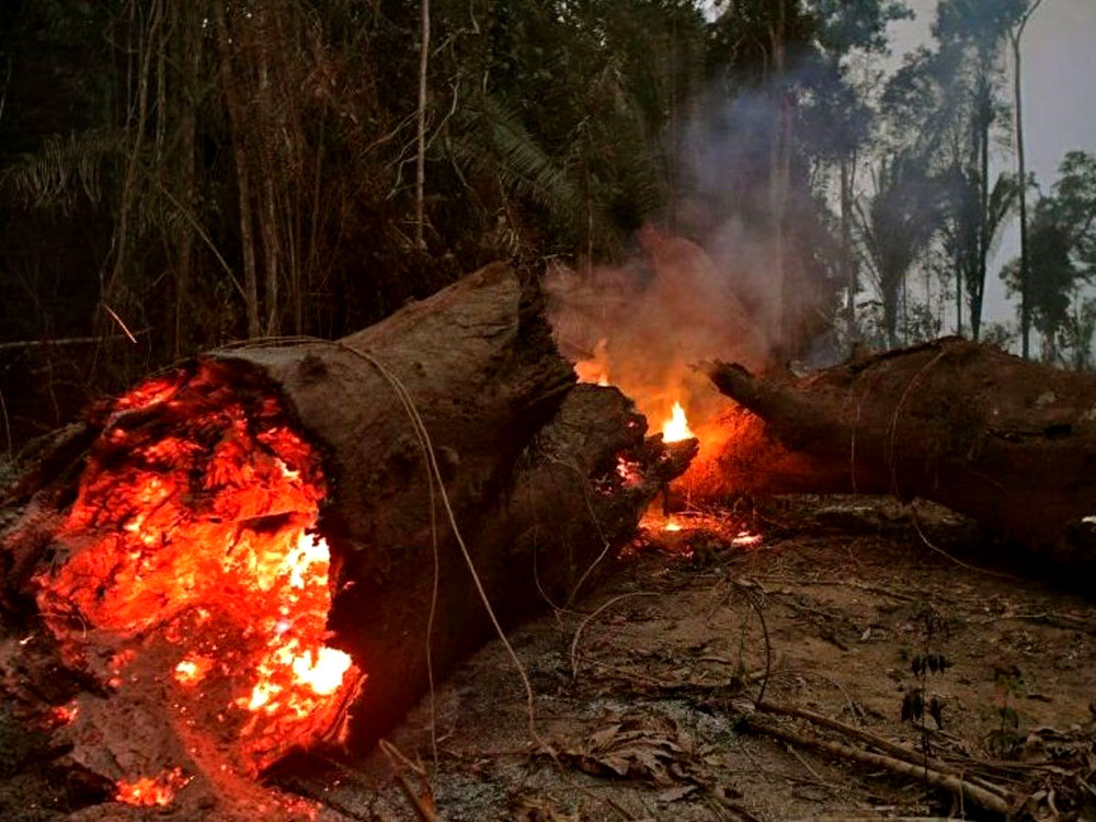 Incendios en la Amazonia: El “Día del fuego”