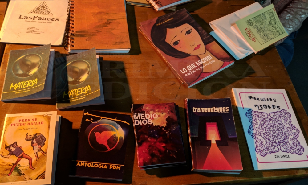 Editoriales independientes y autogestivas, un bastión de la contracultura misionera