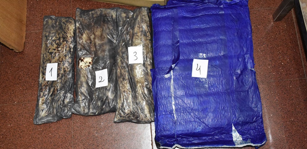 Detienen a colombiano con más de 10 kilos de éxtasis en terminal de Posadas