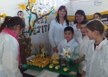 Más de 650 proyectos compiten por un lugar en el Nacional de Ciencias