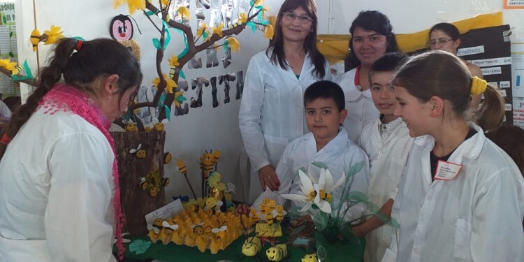 Las instancias nuclean a todos los niveles educativos y las distintas modalidades. (Imagen ilustrativa)