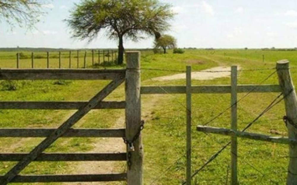 El mercado inmobiliario rural cayó más del 30%