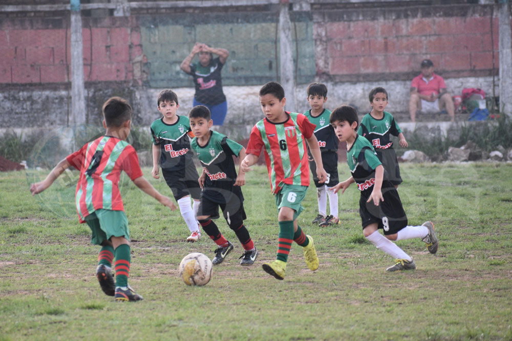 Femenino: las chicas de Colonias festejaron el título