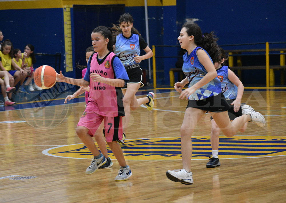 La revolución de las chicas en las formativas