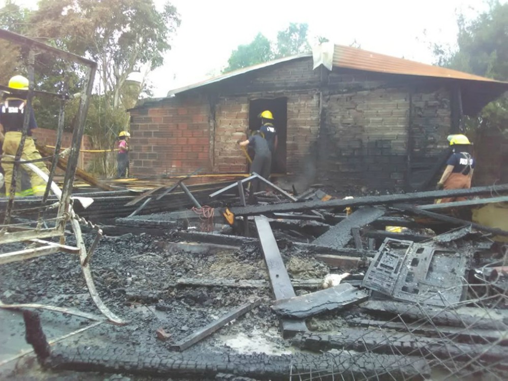 Intentó espantar abejas, sin embargo incendió su casa