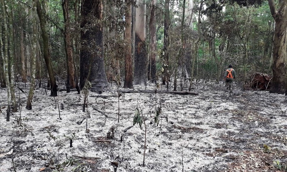 Incendio afectó a casi todo el predio del Arboretum de Leandro N. Alem