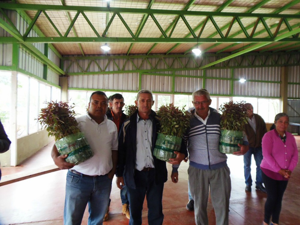 El Plan Leña Renovable lleva 8 años asistiendo al productor forestal