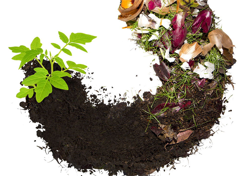 Taller gratuito de compostaje