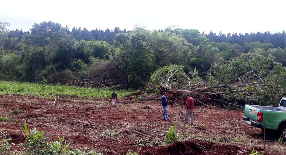Anticipan millonaria multa tras constatar desmonte en San Pedro