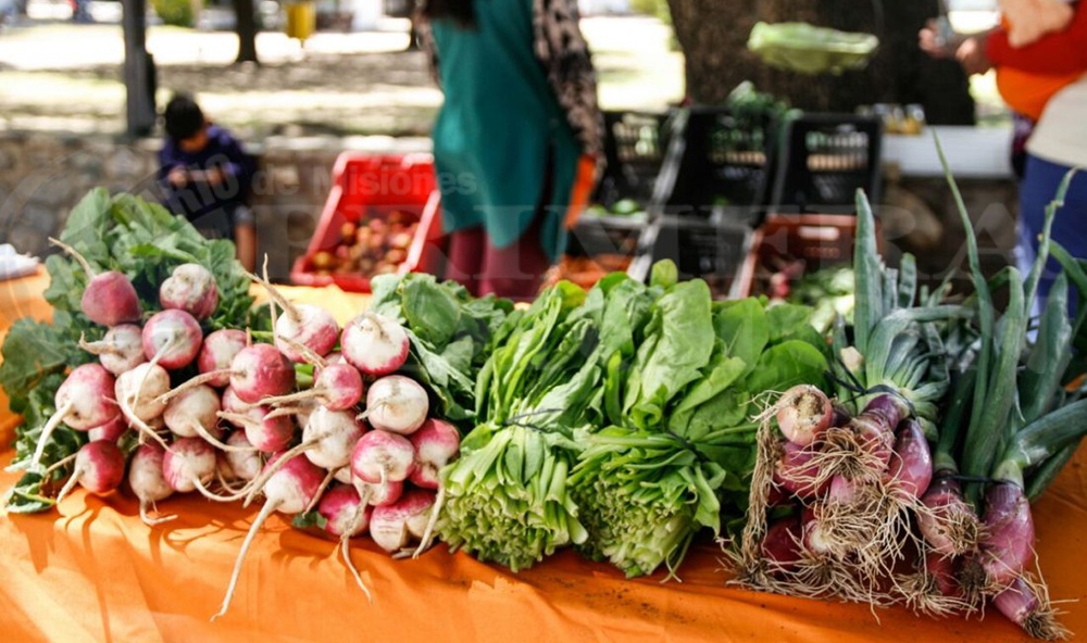 Se ponen en marcha los tickets para comprar en las ferias francas