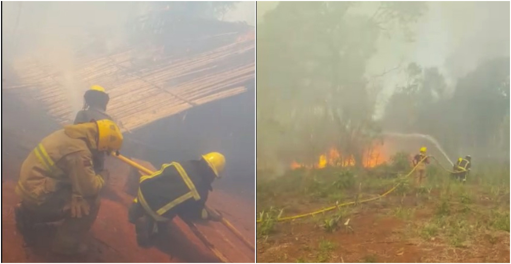 Bomberos intentan controlar incendio en las 2000 hectáreas
