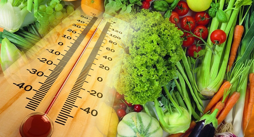 Olas de calor: ¿cuáles son los alimentos más recomendables?