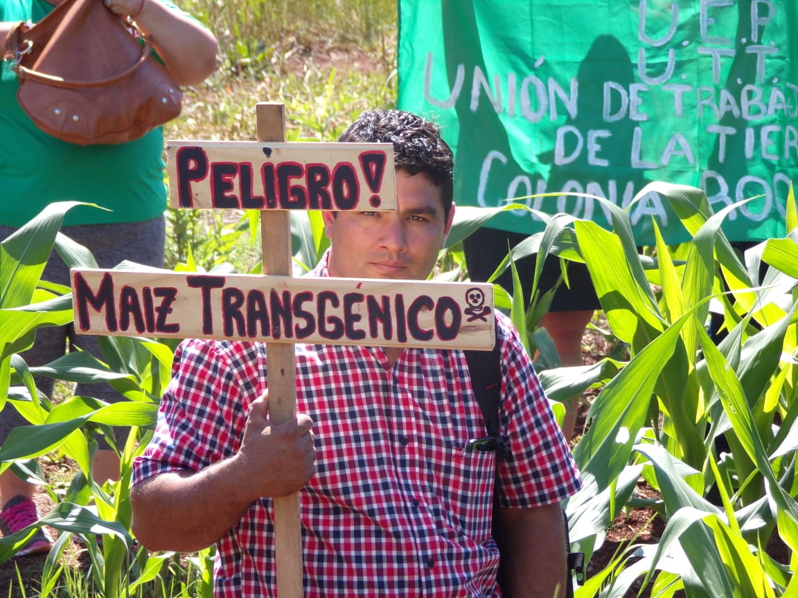 Con visitas a las chacras, productores de Montecarlo dicen “no a los transgénicos”