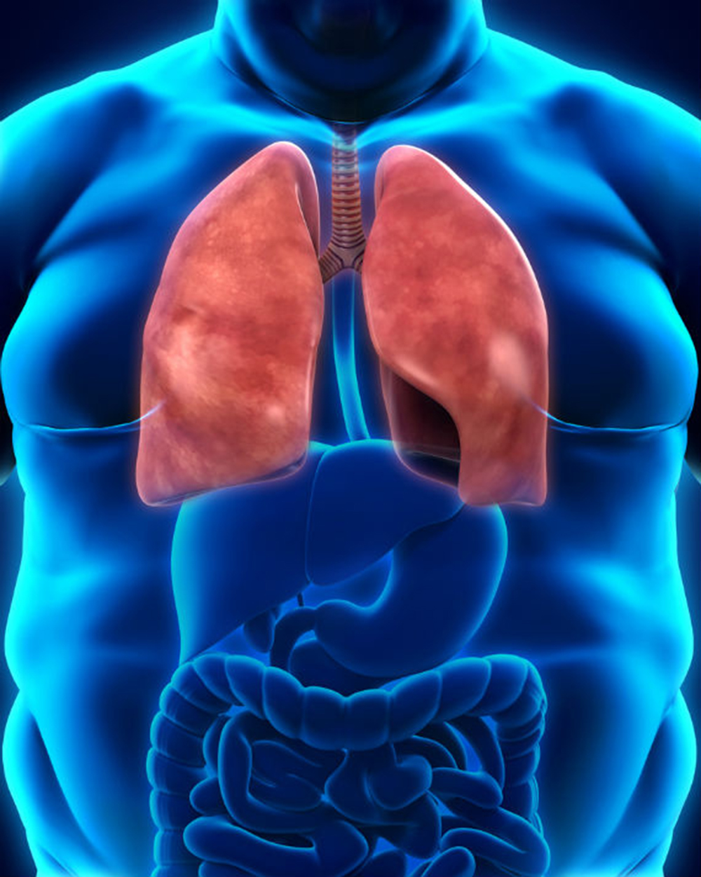 Las personas con sobrepeso acumulan grasa en los pulmones