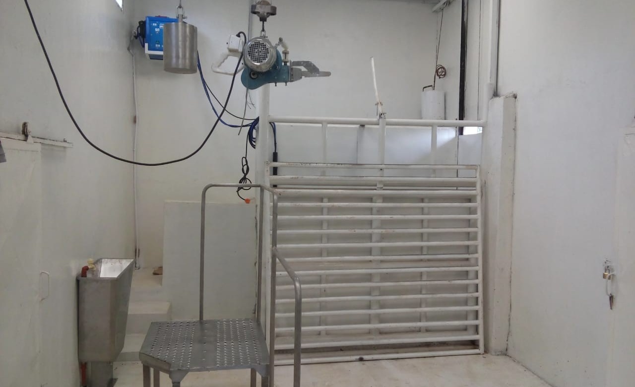 Ya está en marcha el matadero de ovinos en San José