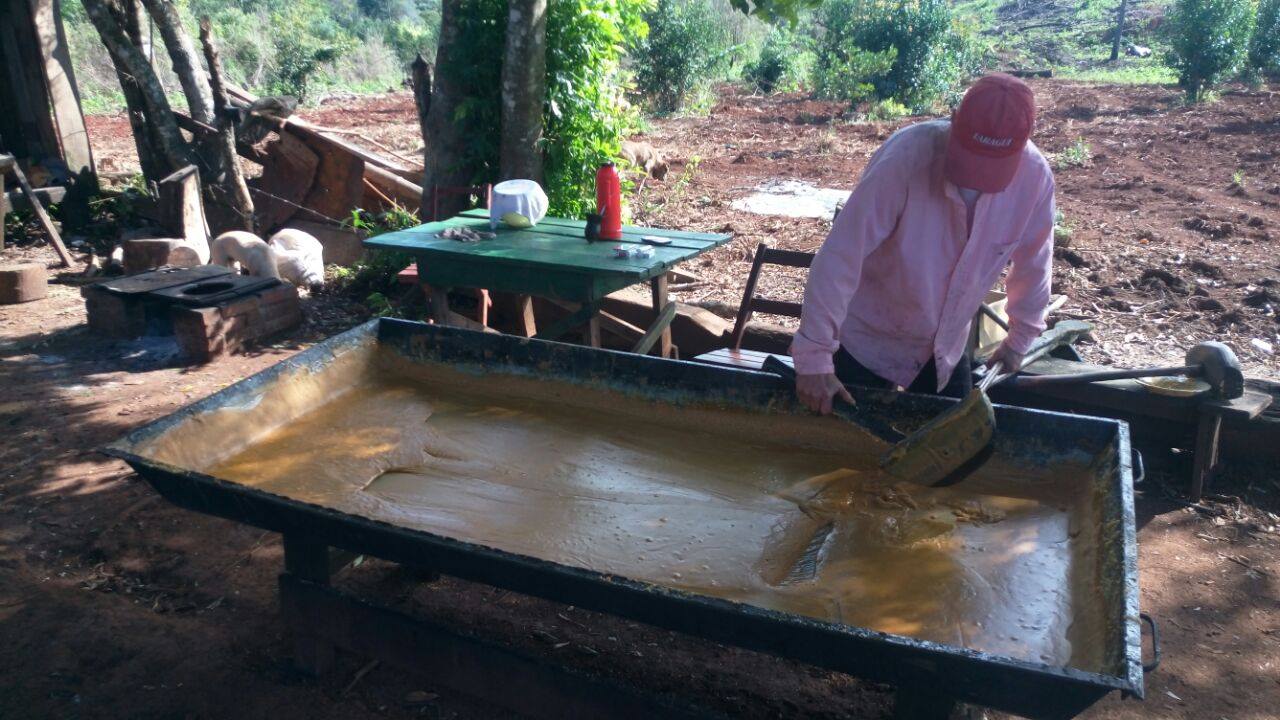 Mojón Grande desarrolla un polo productivo de azúcar rubio