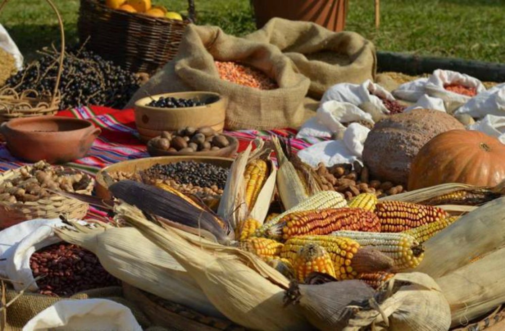 “En estos años aumentó la producción sustentable y el consumo saludable”