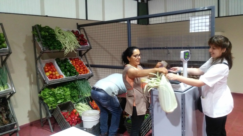 Nivel de ventas superó las expectativas de los productores