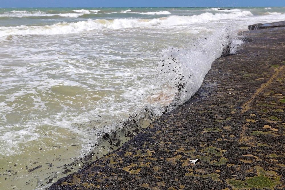 Derrame de petróleo en Brasil: “Lo peor está por venir”, dijo Bolsonaro