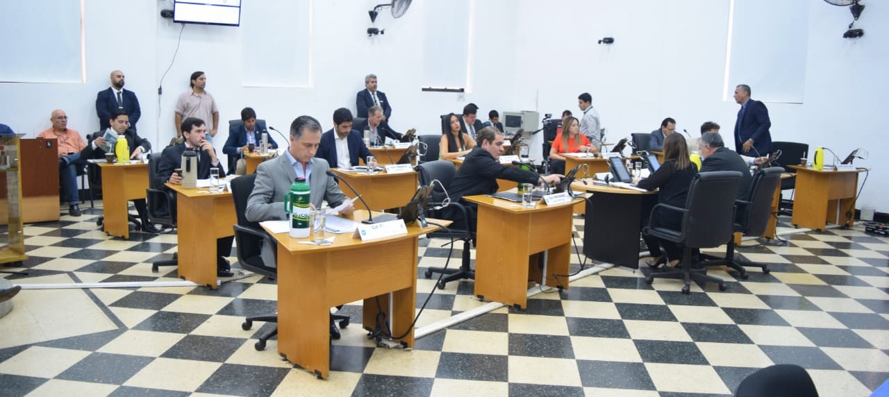 Balance de los Concejos Deliberantes