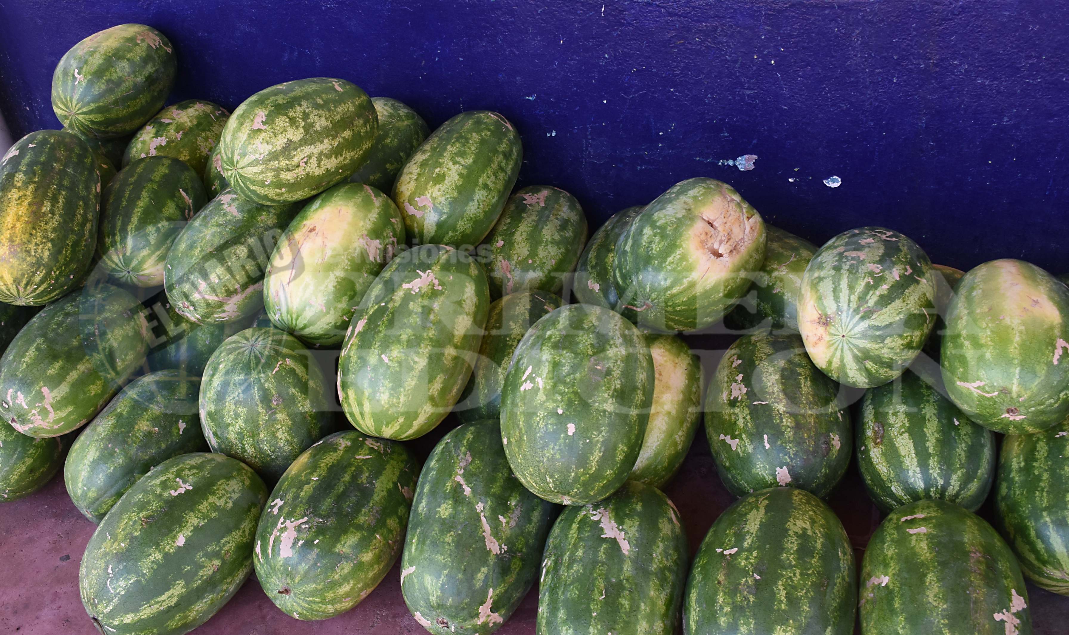 Posadas: hay sandías desde los $150 en el Mercado Concentrador