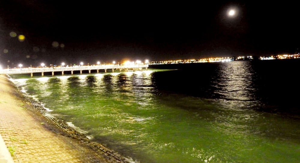 Algas inundan las costas misioneras