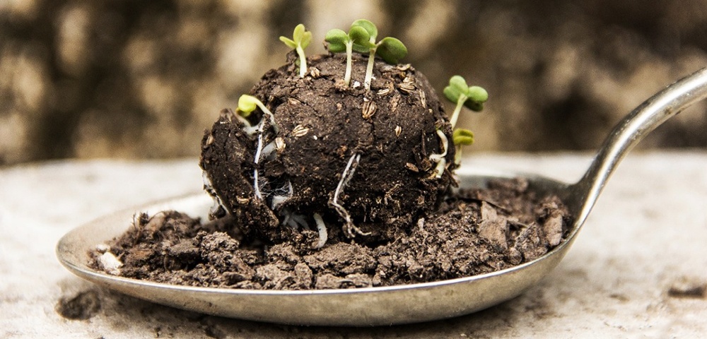 En Paraguay, reforestarán Ybytyruzú con 100.000 bombas de semillas