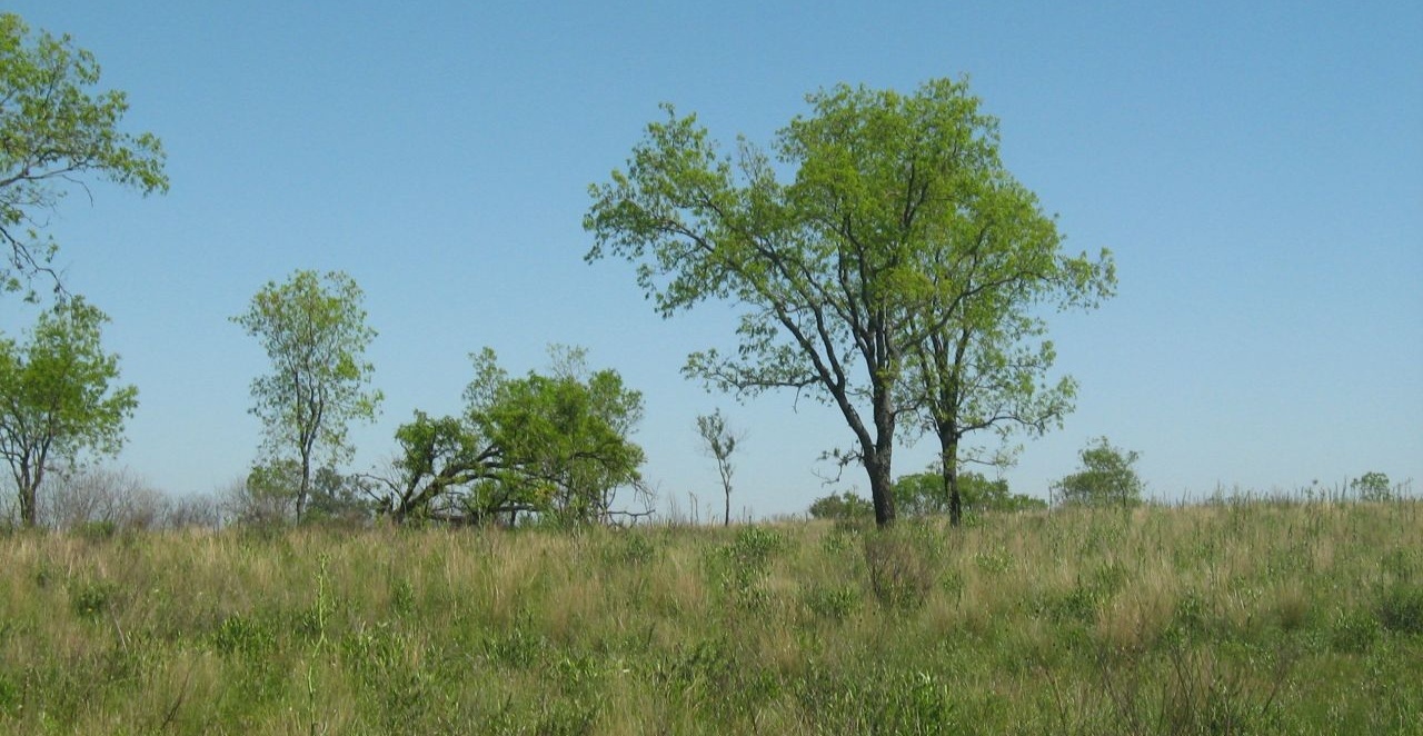 Passalacqua instruyó al Fiscal de Estado la defensa del Campo San Juan