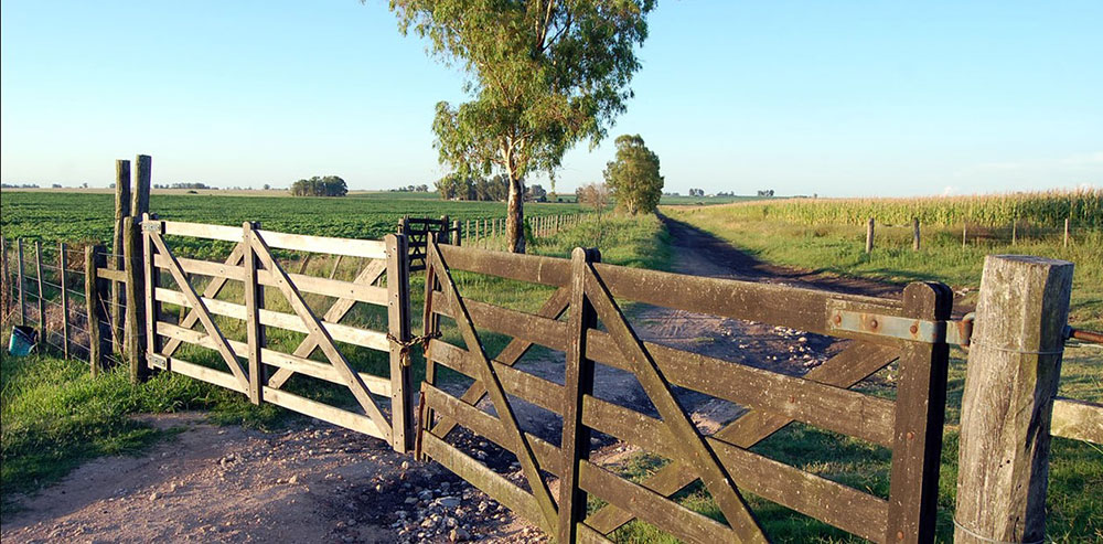 La Carbap decidió un cese de comercialización