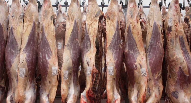 China bajará los aranceles a la carne y la palta a partir del 2020