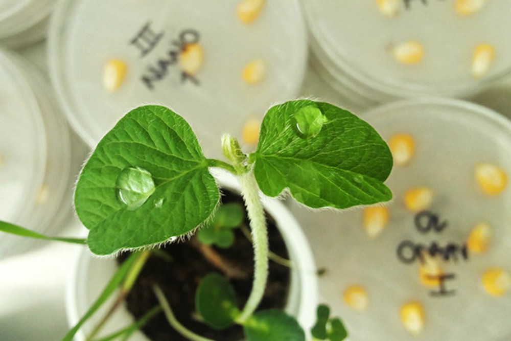 Desarrollaron máquina para encapsular agroquímicos