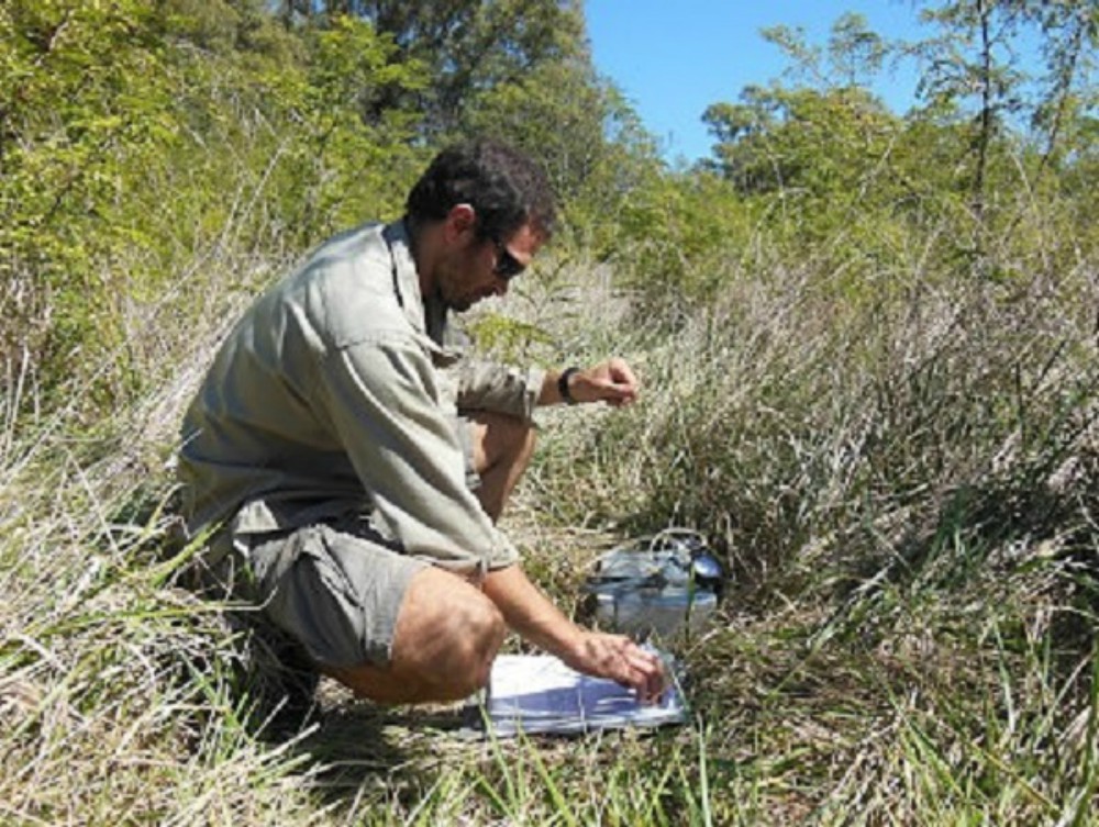 La diversidad de pastizales ayuda a frenar el calentamiento global