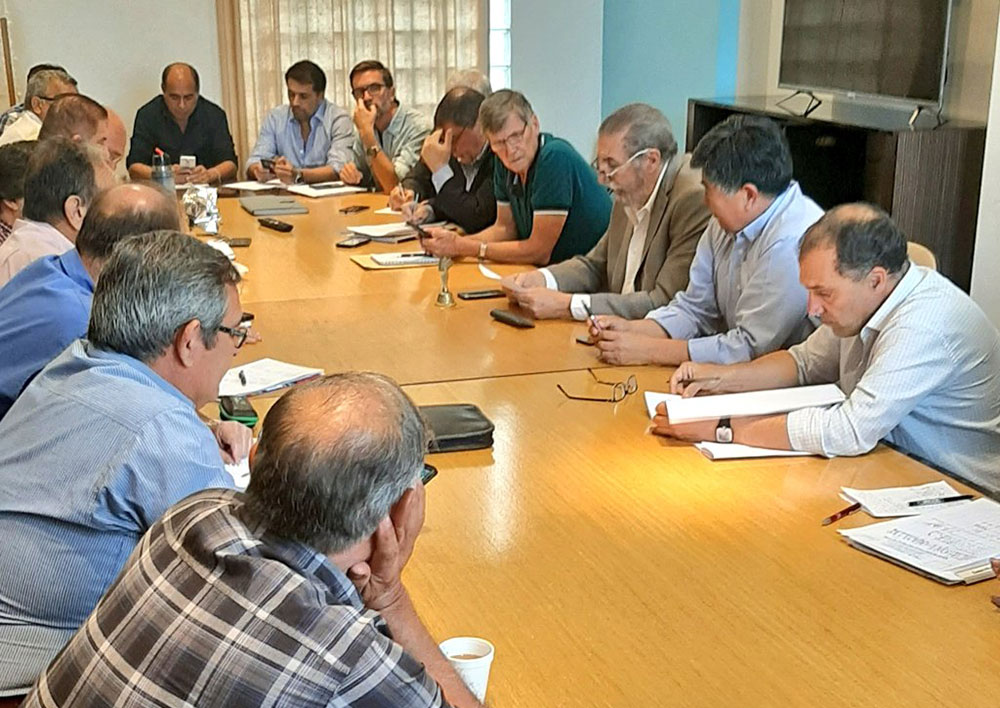 Timbó reemplazará a Olimpia/San Antonio en el torneo Regional