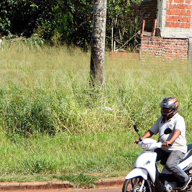 Sin Emergencia Sanitaria, seguirán los controles sobre los terrenos baldíos