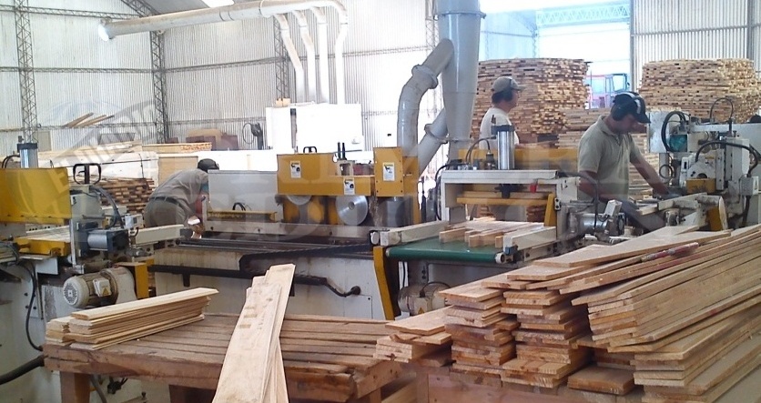 ¿Qué demandan las PyME misioneras para reactivarse?