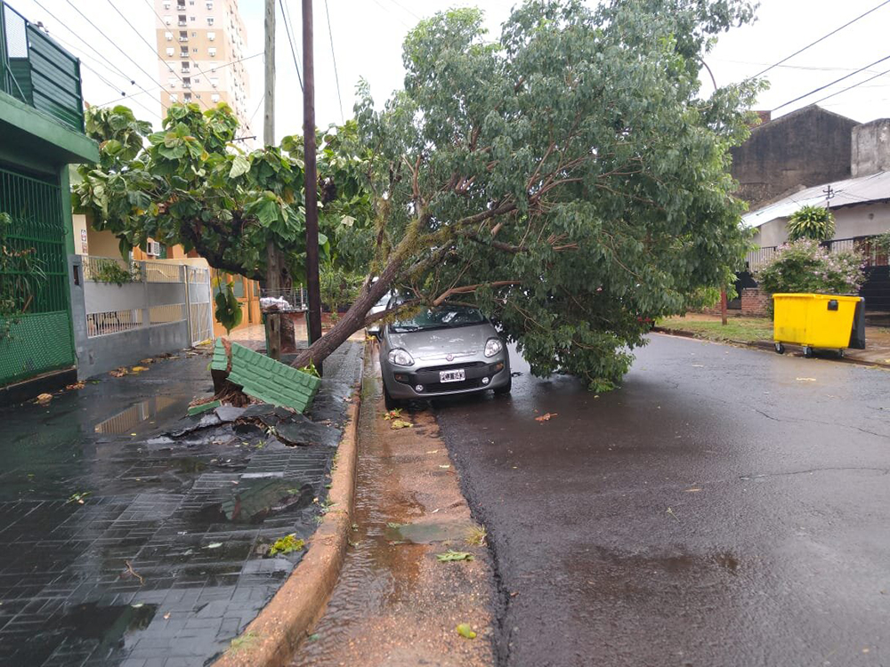 Lo que la tormenta dejó