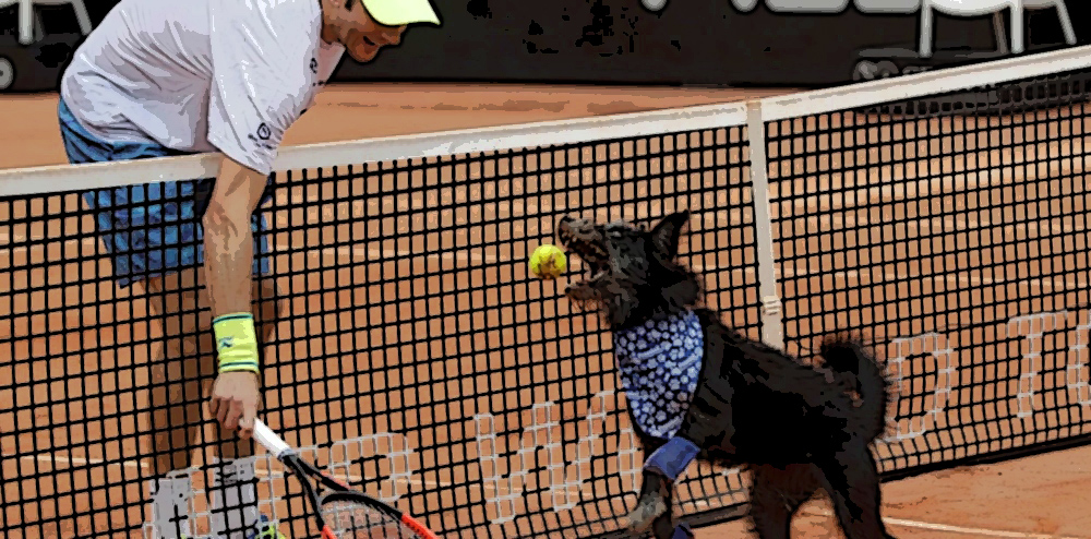 Organizan el primer torneo de tenis “dog friendly” de América