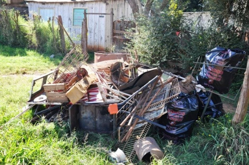 Prevención del dengue en barrios de San José