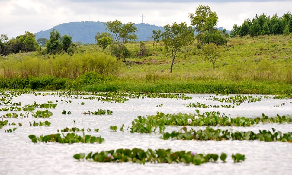 Vialey dijo que el Parque San Juan quedaría como reserva provincial