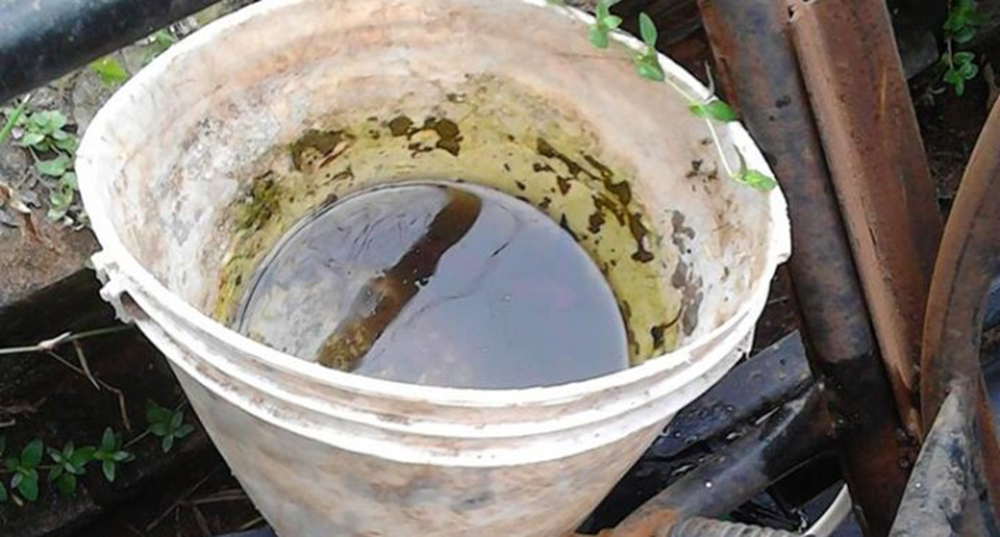 Cultivemos salud, no mosquitos