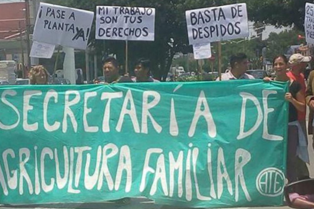 Despedidos de Agricultura Familiar piden volver a sus trabajos